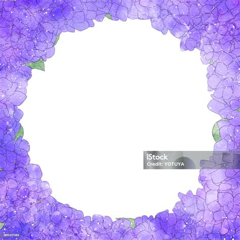 Beautiful Watercolor Hydrangea Background Illustration Stock ...