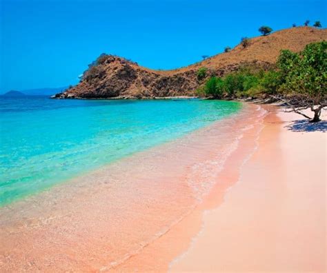 Complete Guide to the Pink Beaches of Indonesia - ETG Blog