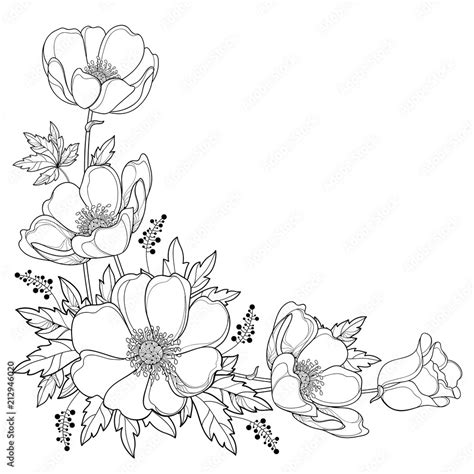 Flowers Outline Drawings