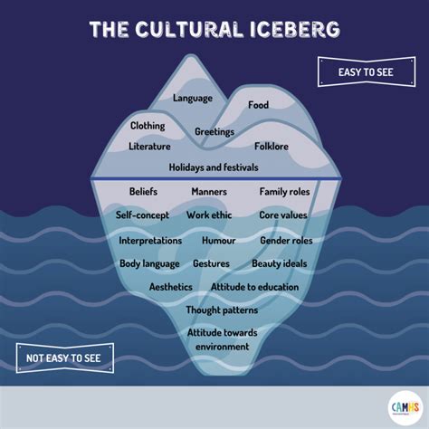 THE CULTURAL ICEBERG ? – CAMHS Professionals