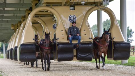 Horse Training Machine Is Like Rollercoaster - YouTube