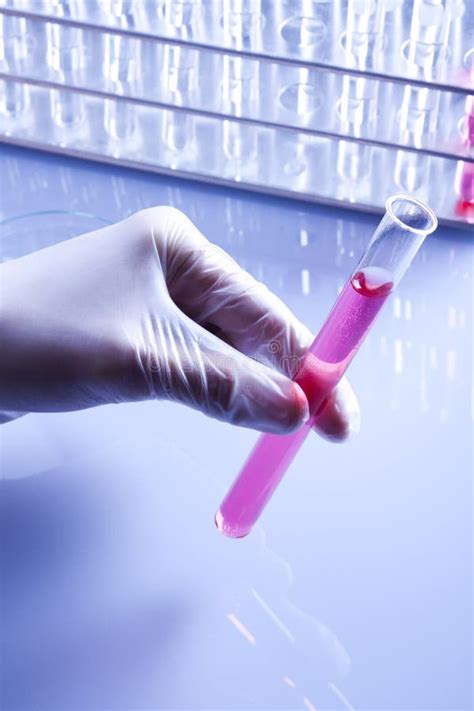 Laboratory Glassware stock photo. Image of medicine, hospital - 12438244