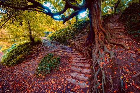 St Anne's Park, Clontarf, Dublin — Shay Farrelly