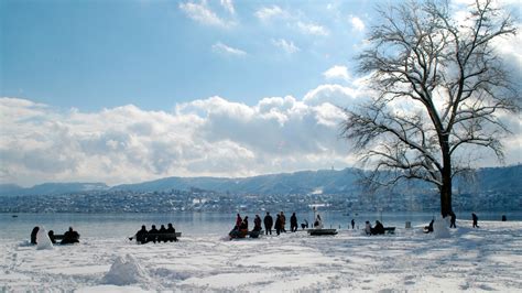 Winter Wonders in Zurich: Your Guide to the Season's Best