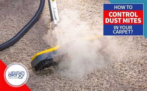 How To Control Dust Mites in Your Carpet | X-Mite Carpet Treatment