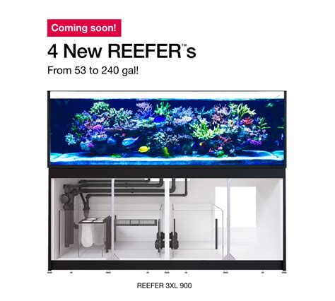 Red Sea Announces New Reefer XL 200, 300, 750v3, & the Largest Reefer ...