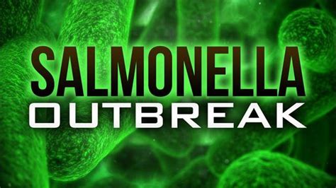 Second death reported in nationwide salmonella outbreak