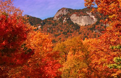 Aerial Adventures - Boone | TravelSouth USA