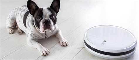 Pet Hair Clean Up - The 10 Best Robot Vacuums for Pet Hair