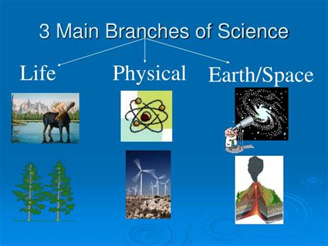 PPT - The Branches of Science PowerPoint Presentation - ID:2979975