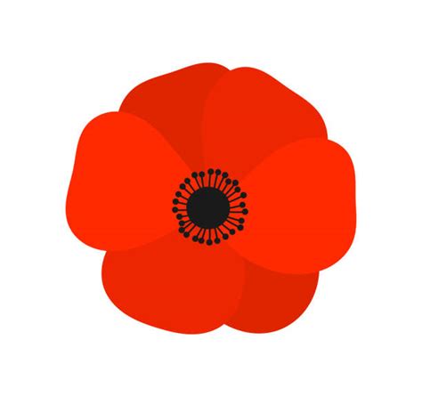 Clipart Poppy