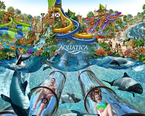 Aquatica - Orlando, FL | Orlando theme parks, Water park, Aquatica orlando