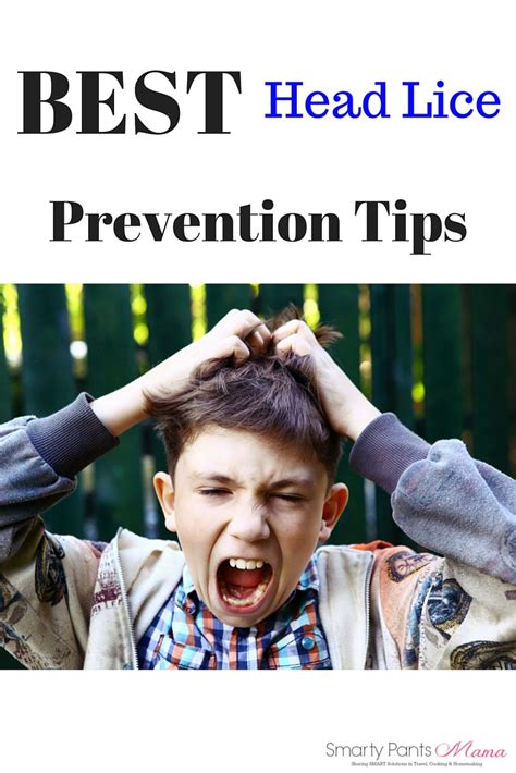 Head Lice Prevention Tips That Work - Smarty Pants Mama