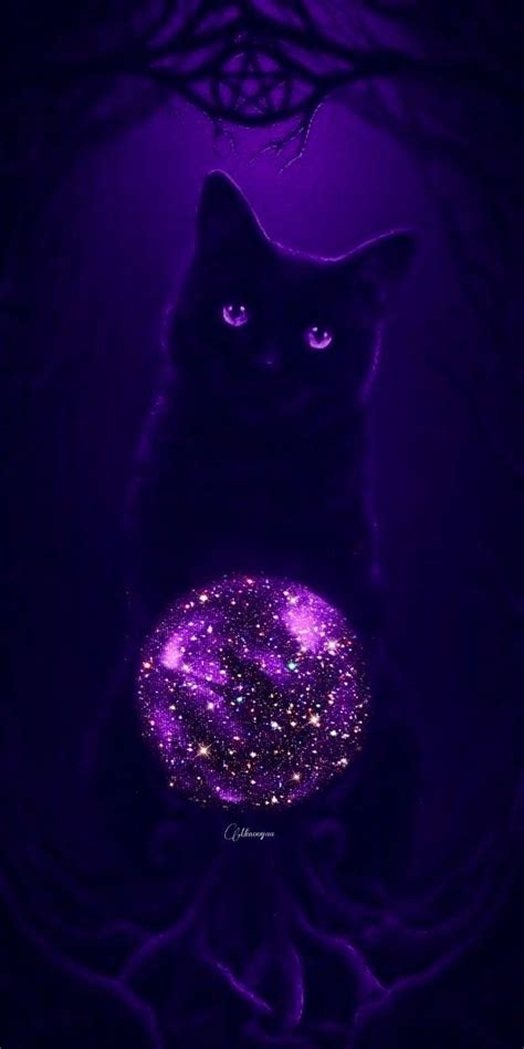 Pretty Cats, Beautiful Cats, Cute Cats, Witchy Wallpaper, Cute Cat ...