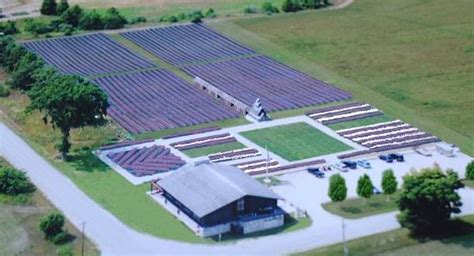 Island Lavender Farm Market (Washington Island) - 2021 All You Need to ...