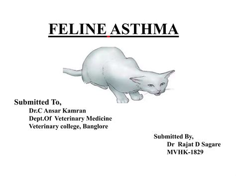 Feline Asthma Treatment and Diagnosis | PPT