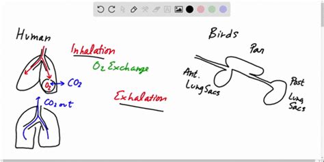 SOLVED:a Give two reasons why good ventilation in a working environment ...