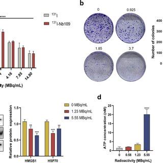 The biological effects of ¹³¹I-Nb109 in H460 cells. a In vitro ...