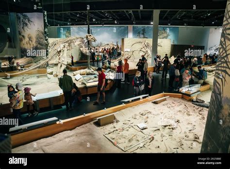 Drumheller, Canada - Mar 2023 Visitors flock to the dinosaur exhibits ...