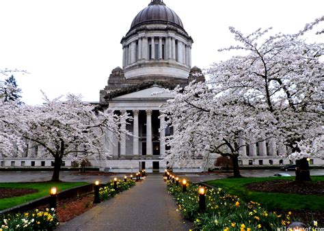 Olympia, Washington with Kids: Weekend Itinerary + Photo Tour ...