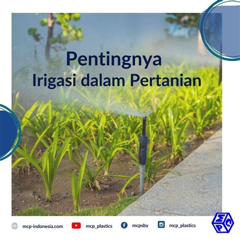 Pentingnya Irigasi dalam Pertanian - PT. Mutiaracahaya Plastindo