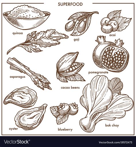 Superfood healthy diet food sketch icons berry Vector Image