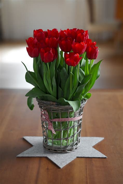 Red Tulip Symbolism (Top 13 Meanings) - Give Me History