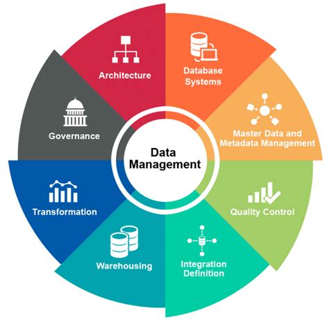 Establishing Data Management Office