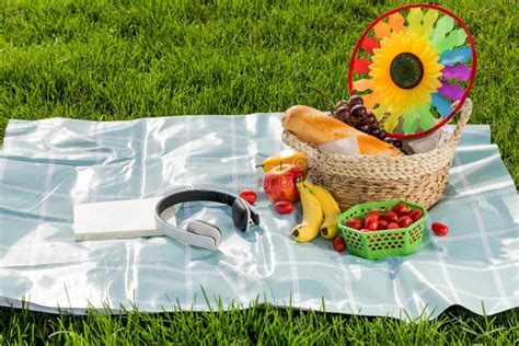 Have a Picnic on the Green Grass Stock Image - Image of basket, green ...