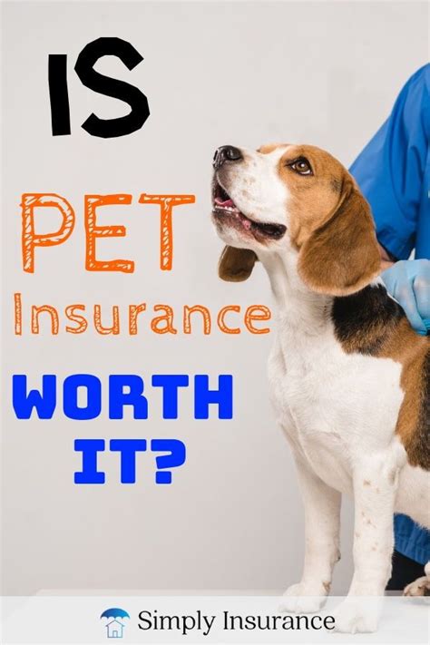 Is Pet Insurance Worth It? If you've asked yourself, is pet insurance ...