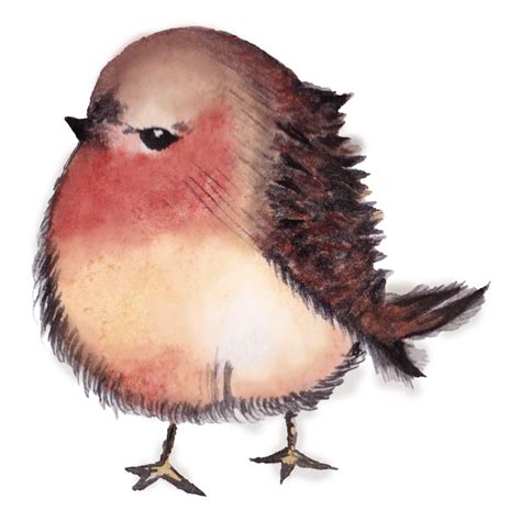 Cute Fat Bird