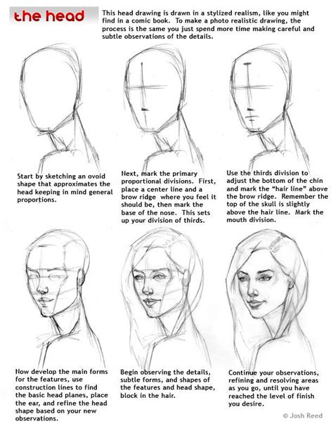 How To Sketch A Face From A Photo Step By Step - This profile view is ...