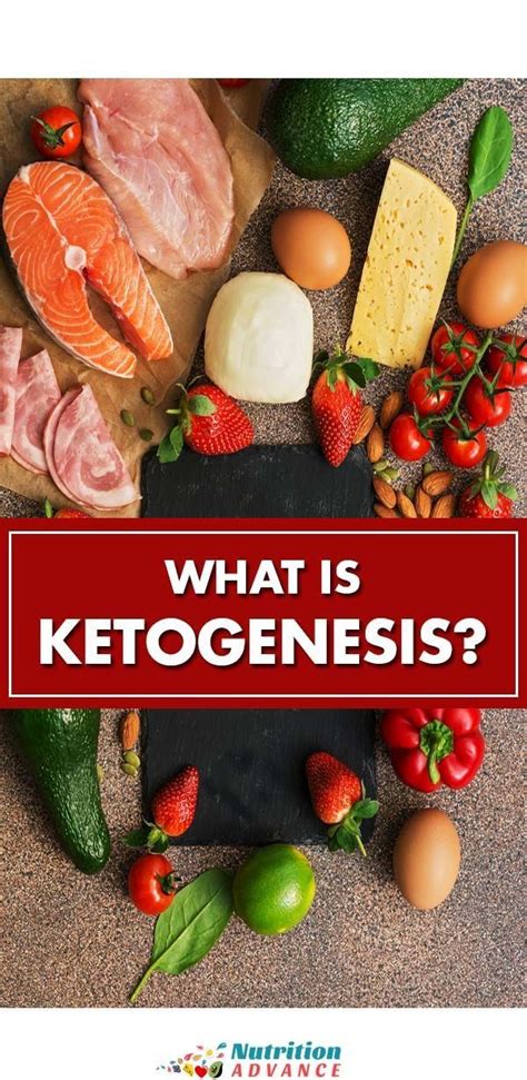 What Is Ketogenesis and What Are Ketone Bodies? | Nutrition Advance ...