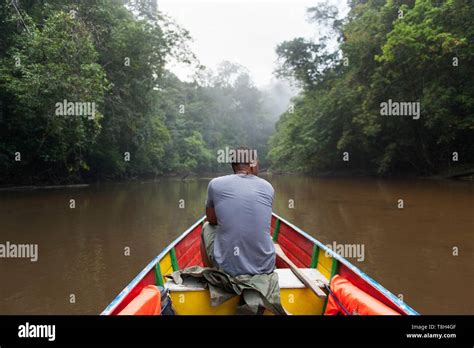 France, French Guiana, near Cacao, River Comte, small boat cruise Stock ...