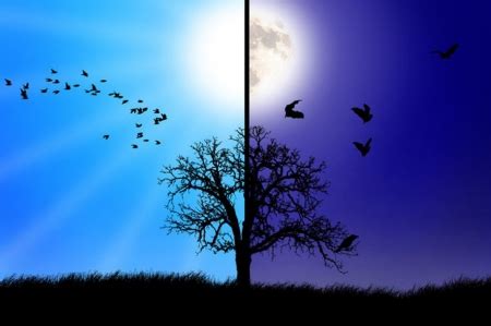 Day vs Night - Other & Nature Background Wallpapers on Desktop Nexus ...