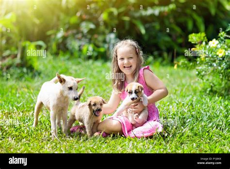 Kids play with cute little puppy. Children and baby dogs playing in ...