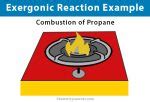 Exergonic Reaction: Definition, Equation, Graph, and Examples