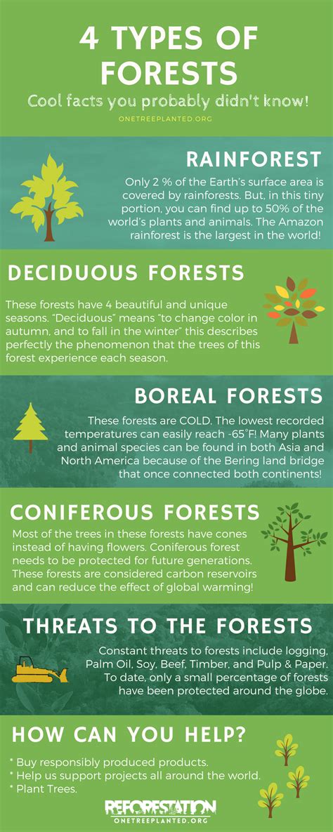 Types Of Forests World Map