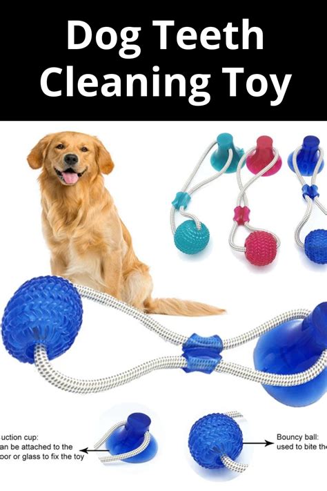 Dog Teeth Cleaning Toy | Dog teeth cleaning, Dog teeth, Teeth cleaning