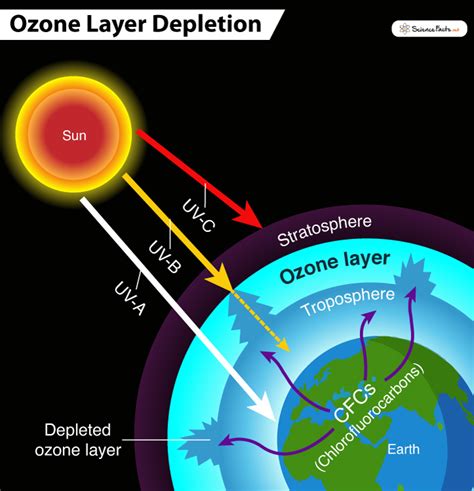 Ozone Layer Depletion: Definition, Causes, Effects, & Solutions