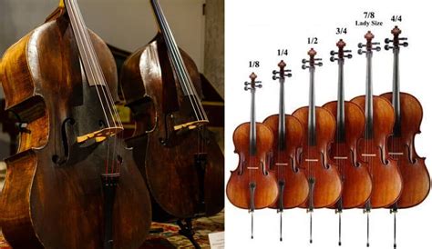 Cello Sizing Guide: How Big Is A Cello? - MusicalHow