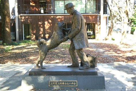 Meet Hachiko! 5 Places Related To Japan's Famous Loyal Dog | Japan ...