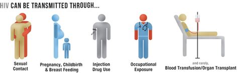 HIV/AIDS Transmission - diseases