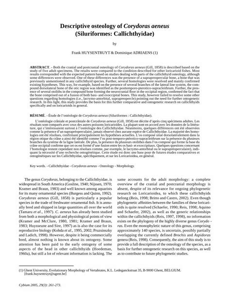 (PDF) Descriptive osteology of Corydoras aeneus (Siluriformes ...