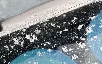 White Water Mold - Pool and Hot Tub Depot