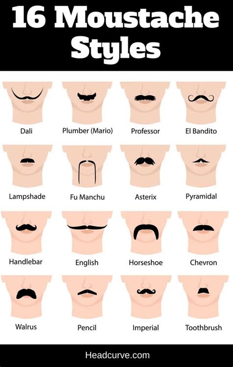 16 Moustache Styles and Names (Chart and Illustrations) | Moustache ...