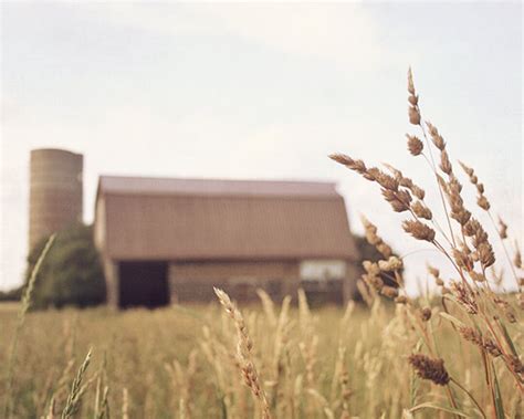 Barn Photography, Farm Photograph, Nature Photograph, Landscape, Autumn ...