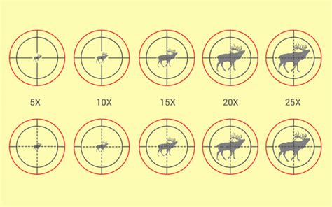 How Does a Rifle Scope Work: Optics Anatomy 101