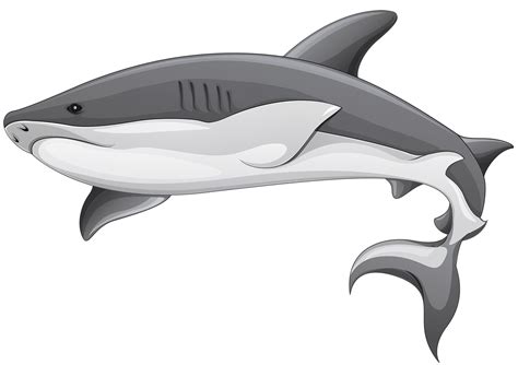 Grey Shark Transparent 14033598 PNG