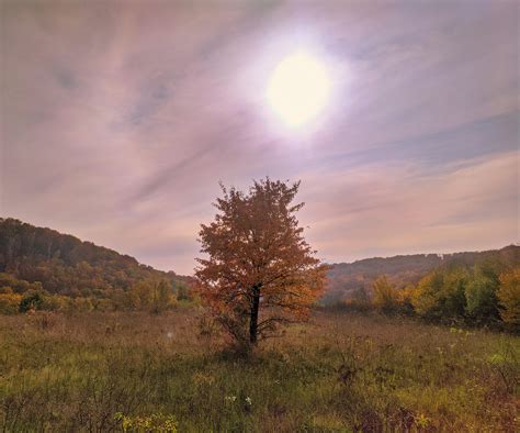 Colors of Autumn. Carpathian mountains. [OC][3607 × 3000] : r/EarthPorn